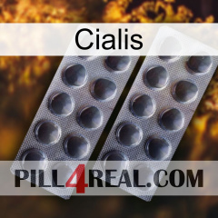 Cialis 31